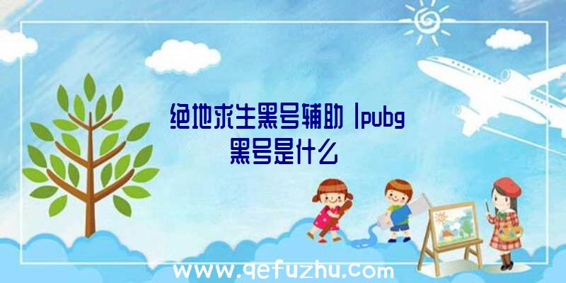 「绝地求生黑号辅助」|pubg黑号是什么